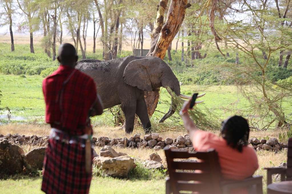 Amboseli Serena Safari Lodge Facilidades foto